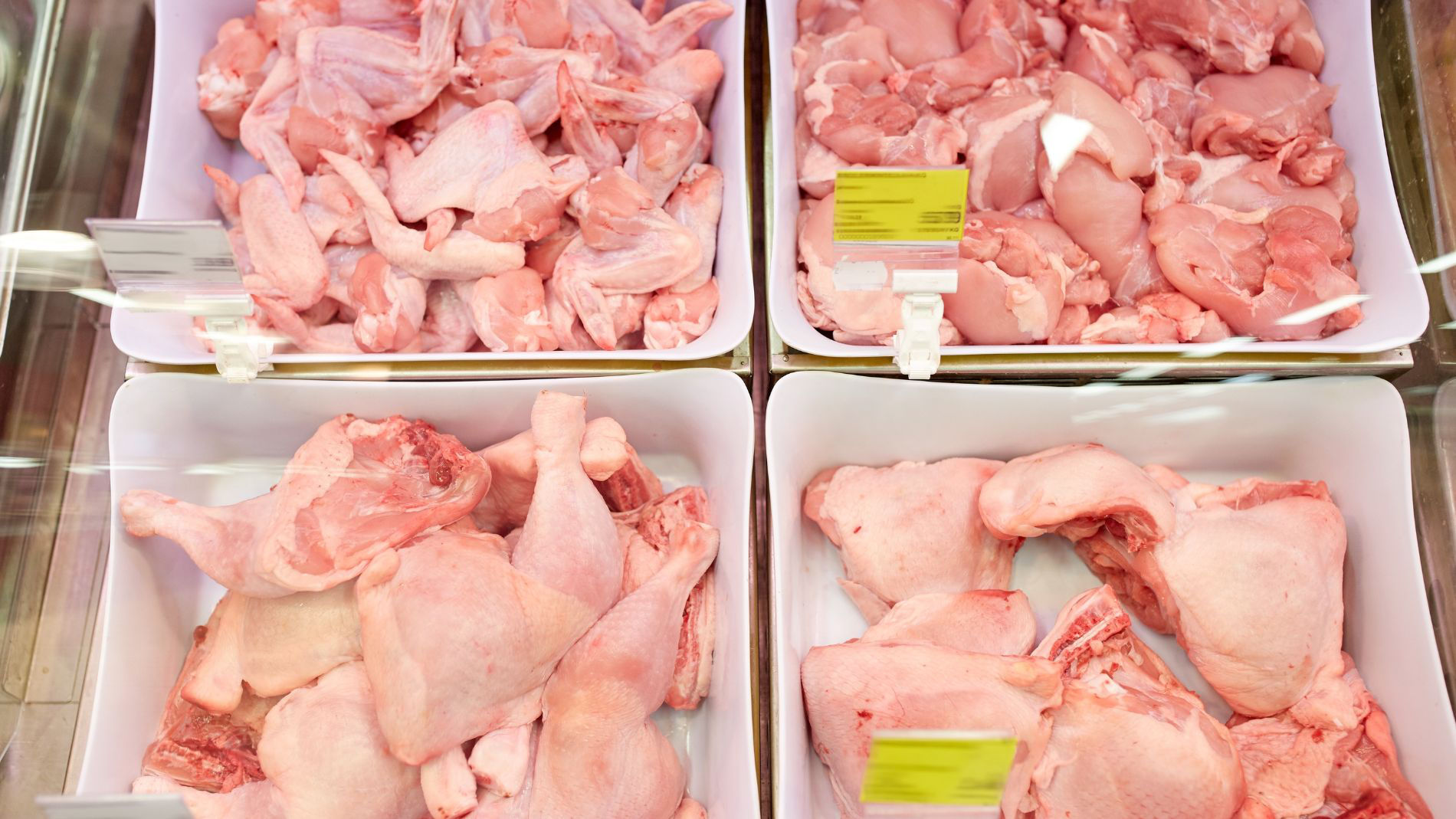 Poultry meat on display